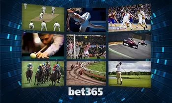 bet365 sports