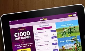 bet365 bingo free