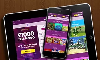 bet365 bingo software