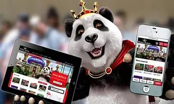 Royal Panda Casino Software