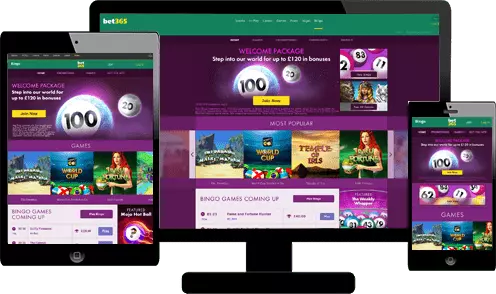 bet365 bingo screenshot
