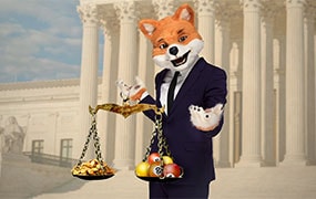 Foxy Foxy