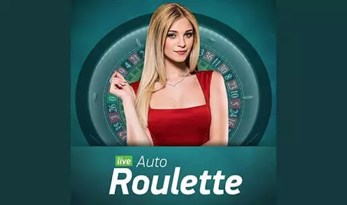 Automatic Roulette Cover