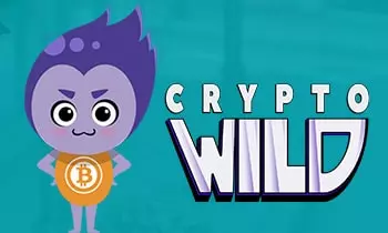 cryptowild casino support