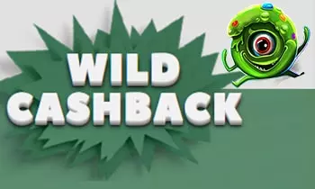 cryptowild casino wild cashback bonus