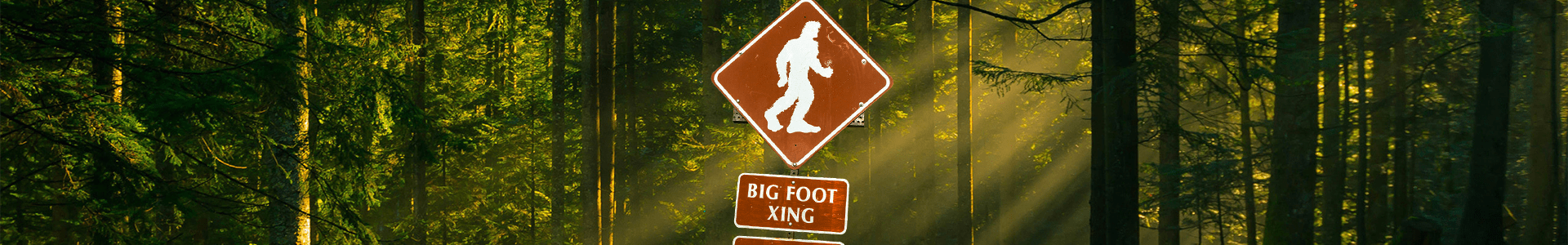 Map shows the odds of encountering Bigfoot in every state
