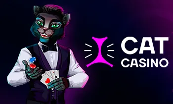 CatCasino support